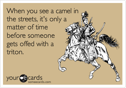 When you see a camel in
the streets, it's only a
matter of time
before someone
gets offed with a
triton.