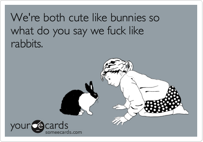 Image result for spring fuck rabbits