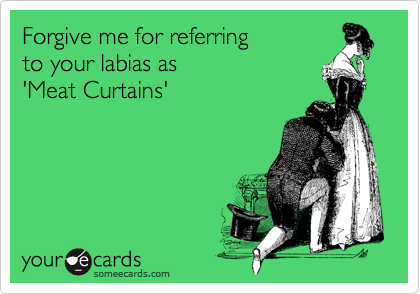 Forgive me for referring 
to your labias as
'Meat Curtains'
