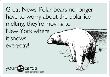 Great News! Polar bears no longer have to worry about the polar ice melting, they're moving to
New York where
it snows
everyday!