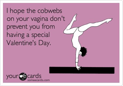 I hope the cobwebs
on your vagina don't
prevent you from
having a special
Valentine's Day.