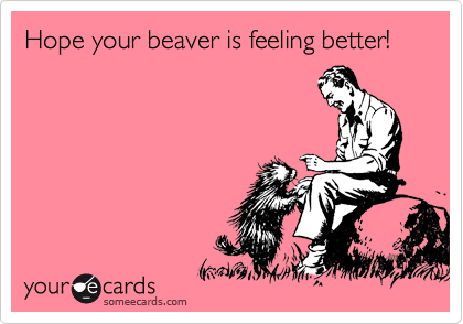 Hope your beaver is feeling better!