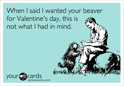 When I said I wanted your beaver for Valentine's day, this is
not what I had in mind.