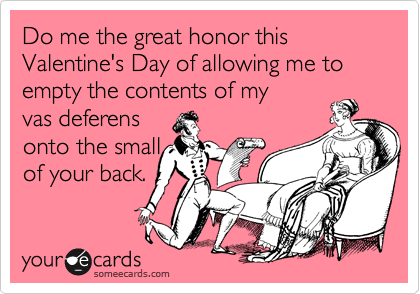 Do me the great honor this Valentine's Day of allowing me to empty the contents of my
vas deferens
onto the small
of your back.