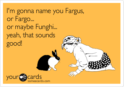 I'm gonna name you Fargus,
or Fargo...
or maybe Funghi...
yeah, that sounds
good!