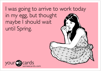I was going to arrive to work today in my egg, but thought
maybe I should wait
until Spring.
