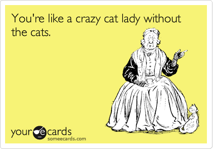 You're like a crazy cat lady without the cats.