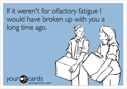 If it weren't for olfactory fatigue I would have broken up with you a long time ago.