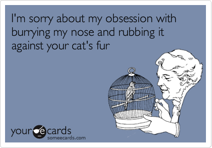 I'm sorry about my obsession with burrying my nose and rubbing it against your cat's fur