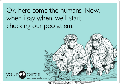 Ok, here come the humans. Now, when i say when, we'll start chucking our poo at em.