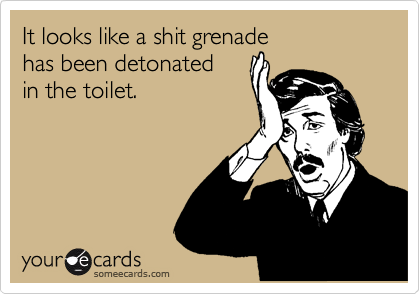 It looks like a shit grenade
has been detonated 
in the toilet.