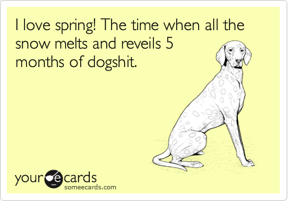 I love spring! The time when all the snow melts and reveils 5
months of dogshit. 
