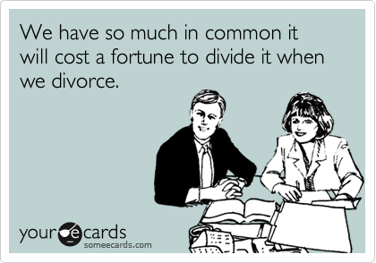We have so much in common it will cost a fortune to divide it when we divorce.