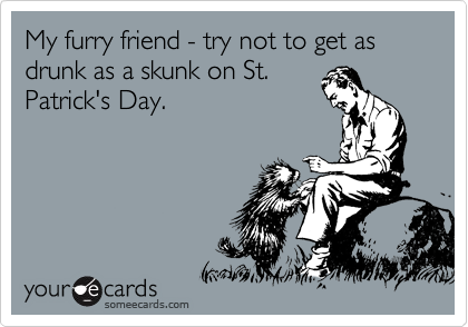 My furry friend - try not to get as drunk as a skunk on St.
Patrick's Day.