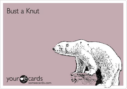 Bust a Knut