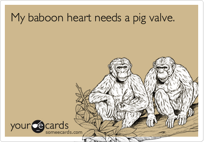 My baboon heart needs a pig valve.
