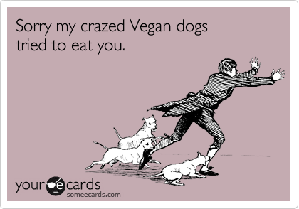 Sorry my crazed Vegan dogs 
tried to eat you.