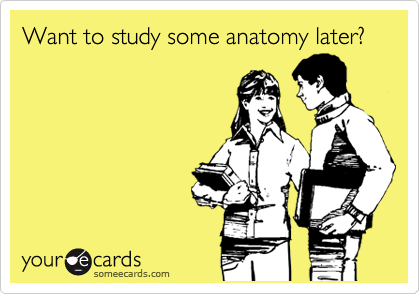 Want to study some anatomy later?