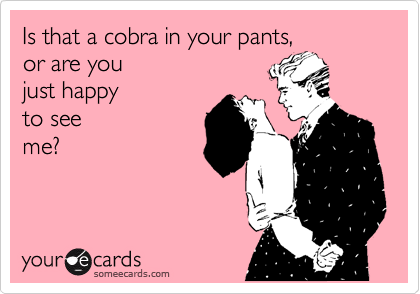 Is that a cobra in your pants, 
or are you 
just happy 
to see
me?