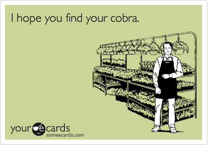 I hope you find your cobra.