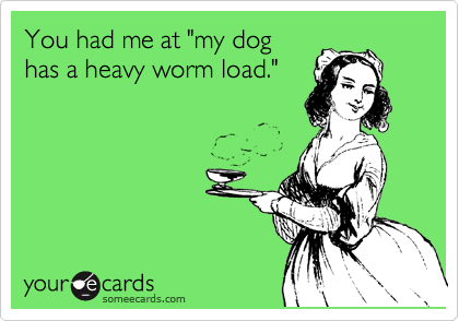 You had me at "my dog
has a heavy worm load."