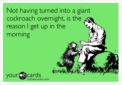 Not having turned into a giant cockroach overnight, is the
reason I get up in the
morning 