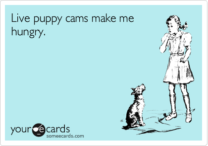 Live puppy cams make me
hungry.