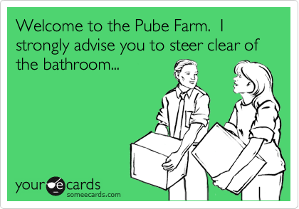 Welcome to the Pube Farm.  I strongly advise you to steer clear of the bathroom...