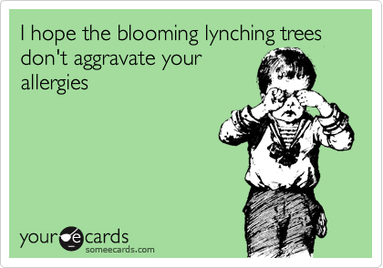 I hope the blooming lynching trees don't aggravate your
allergies