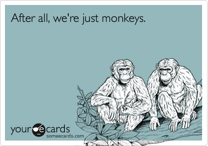 After all, we're just monkeys.
