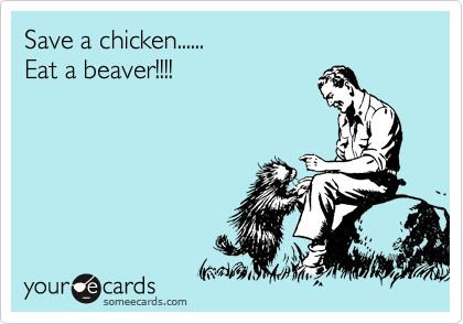 Save a chicken......
Eat a beaver!!!!