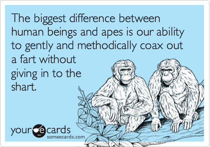 The biggest difference between human beings and apes is our ability to gently and methodically coax out a fart without
giving in to the
shart.