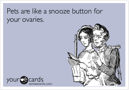 Pets are like a snooze button for your ovaries.