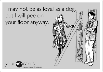 I may not be as loyal as a dog, 
but I will pee on 
your floor anyway.