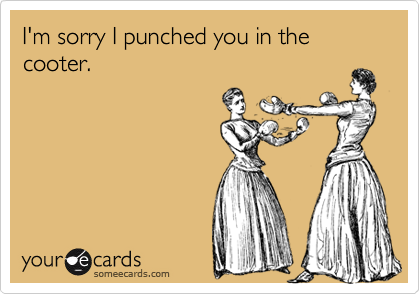 I'm sorry I punched you in the cooter.