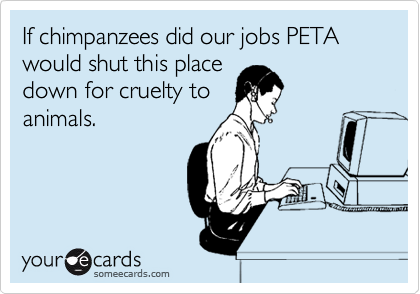 If chimpanzees did our jobs PETA would shut this place
down for cruelty to
animals.