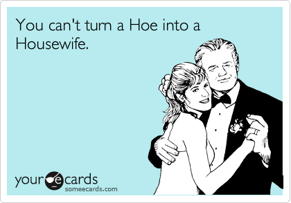 You Can T Turn A Hoe Into A Housewife Flirting Ecard