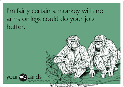 I'm fairly certain a monkey with no arms or legs could do your job better.