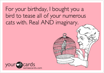 For your birthday, I bought you a bird to tease all of your numerous cats with. Real AND imaginary. 