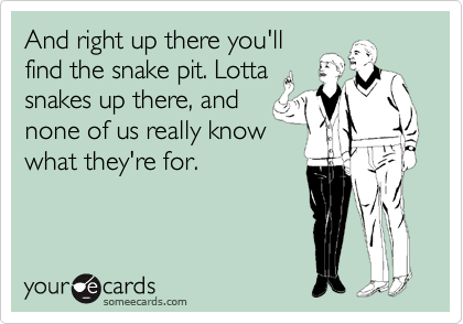 And right up there you'll
find the snake pit. Lotta
snakes up there, and
none of us really know
what they're for.