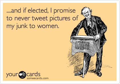 ....and if elected, I promise
to never tweet pictures of
my junk to women. 