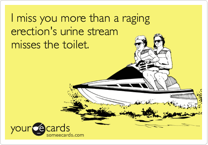 I miss you more than a raging erection's urine stream
misses the toilet.
