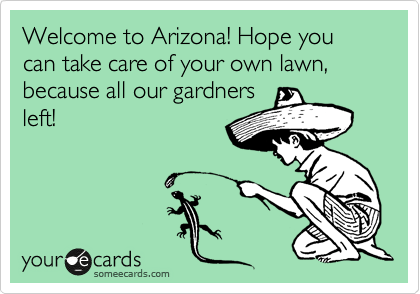 Welcome to Arizona! Hope you can take care of your own lawn, because all our gardners
left!