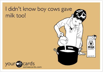 I didn't know boy cows gave
milk too!