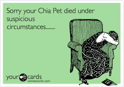 Sorry your Chia Pet died under suspicious
circumstances........