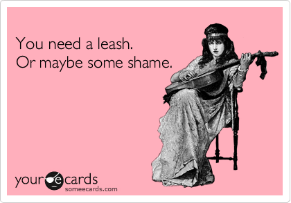 
You need a leash.
Or maybe some shame.