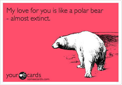 My love for you is like a polar bear - almost extinct. 