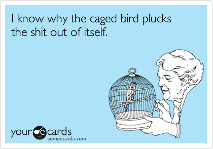 I know why the caged bird plucks the shit out of itself.