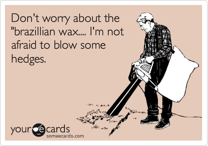 Don't worry about the
"brazillian wax.... I'm not
afraid to blow some
hedges.