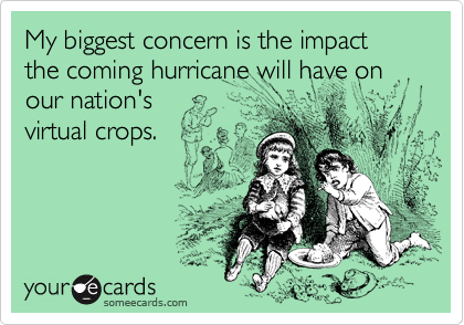 My biggest concern is the impact the coming hurricane will have on our nation's 
virtual crops.